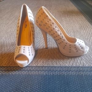 Wild rose high hills